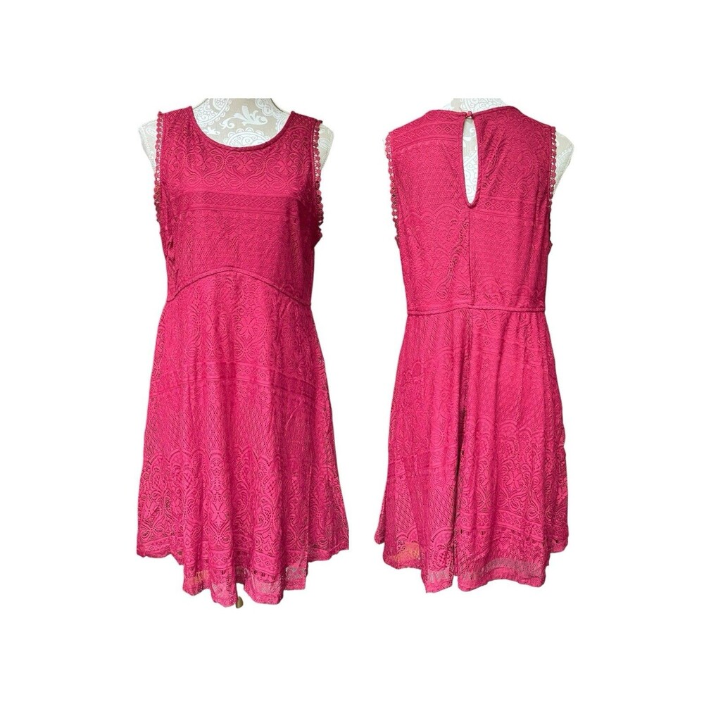 Dark Fairy Romantic Coquette Fairycore Fit Flare Burgundy Lace Mini Dress XL